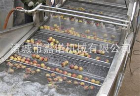 蔬菜氣泡清洗機